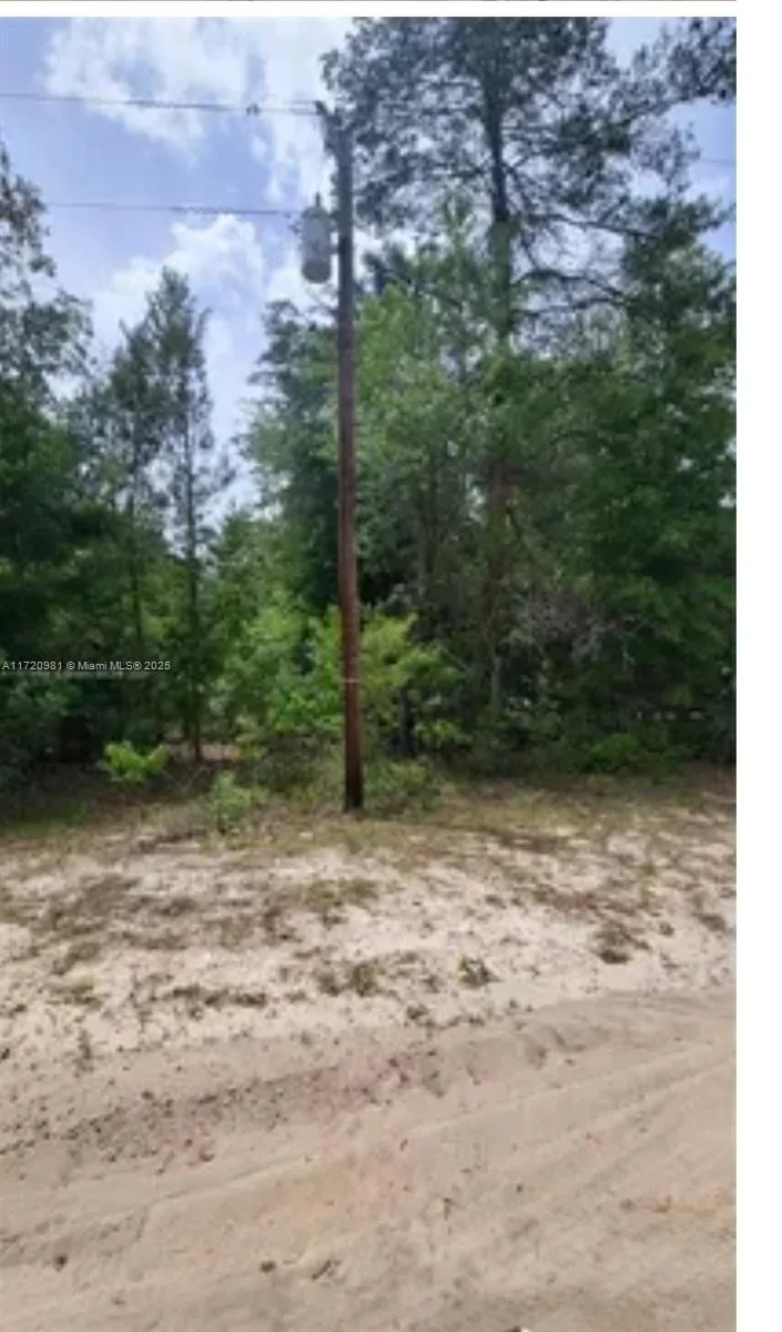 111 George Dr, Palatka, FL 32148