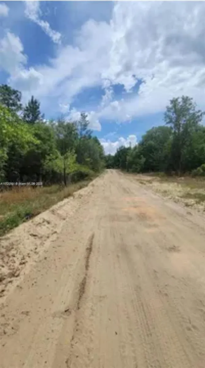 111 George Dr, Palatka, FL 32148 photo 2