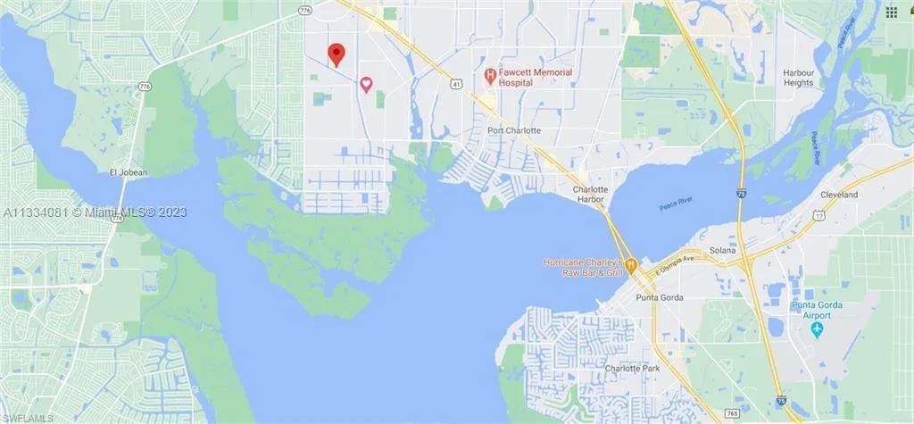 223 Salisbury, Port Charlotte, FL 33954 photo 2