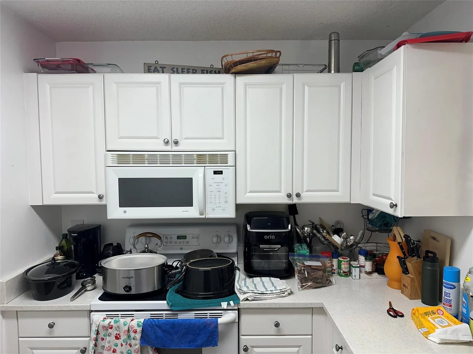 1450 SE 3rd Avenue # 107, Dania Beach, FL 33004 photo 5