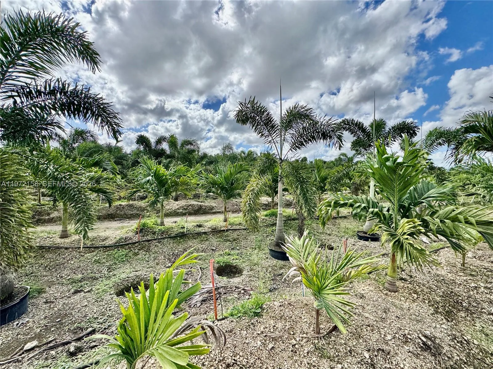 32802 SW 202 Ave, Homestead, FL 33034 photo 3