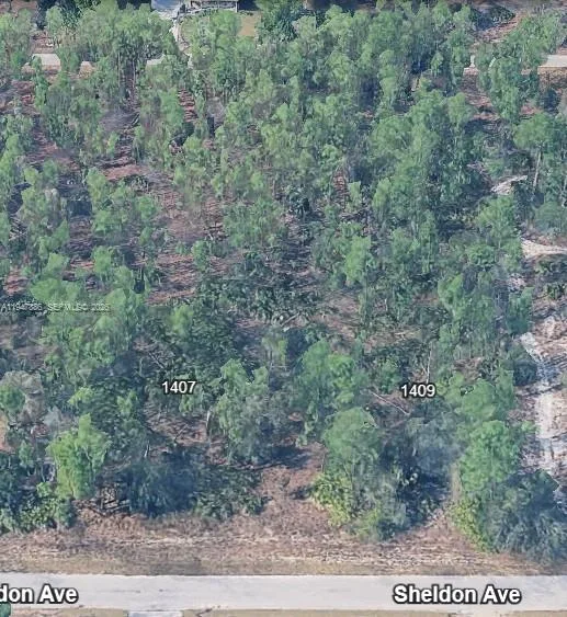 1407 Sheldon Ave, Lehigh Acres, FL 33972 photo 4