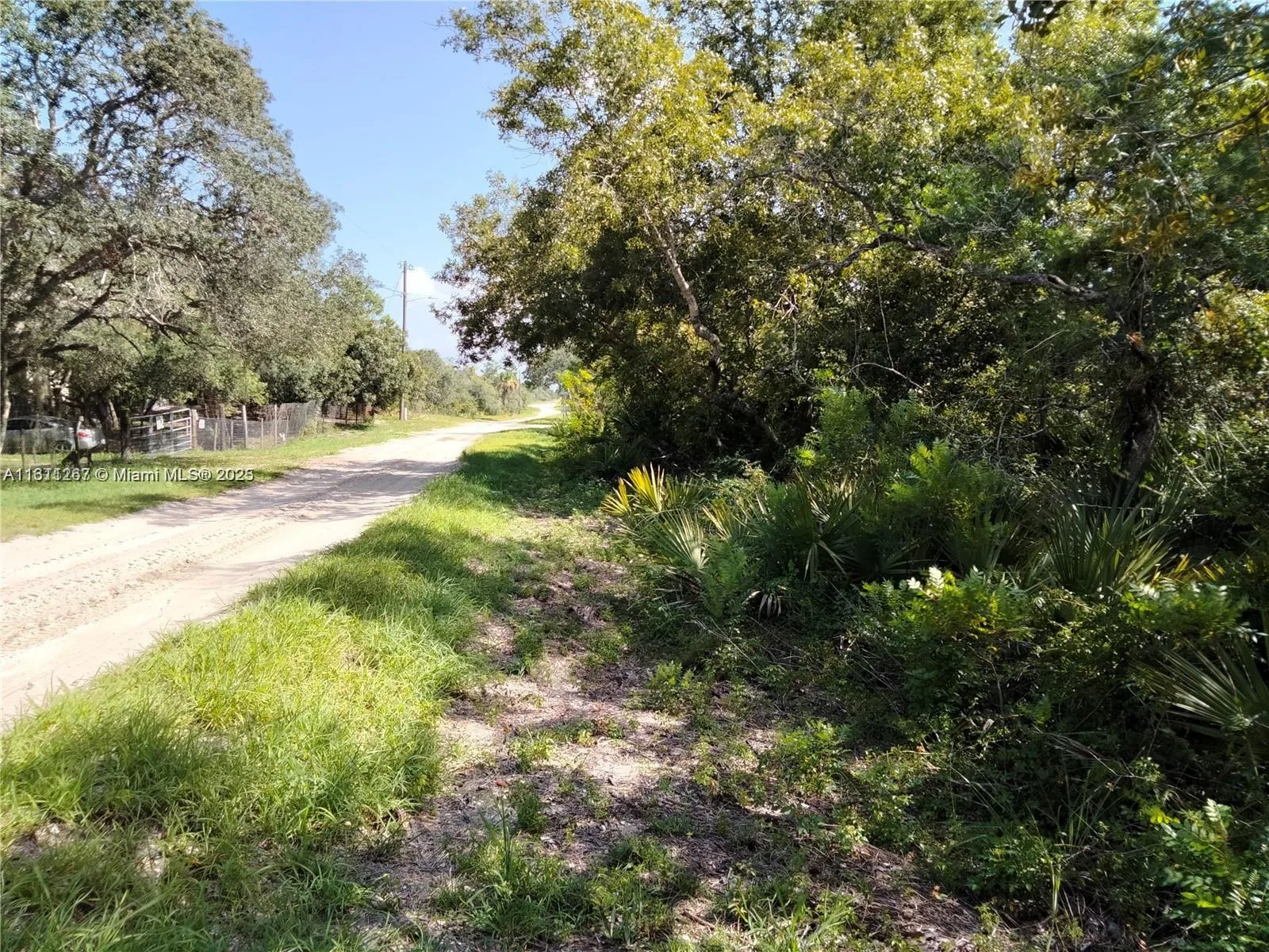 201 FAIRHILL STREET, Lake Placid, FL 33852 photo 2