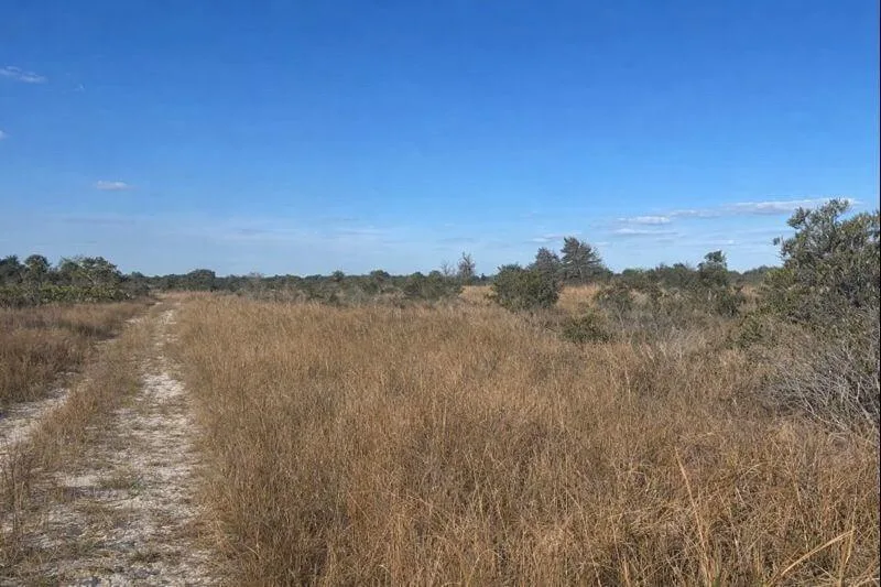 0 NW 290th Street, Okeechobee, FL 34972