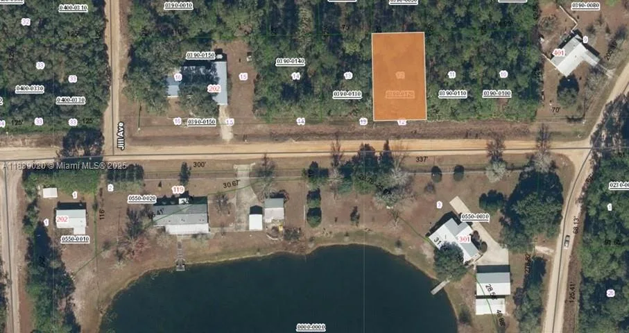 0 CANINE ST, Other City - In The State Of Florida, FL 32148 — zdjęcie 2