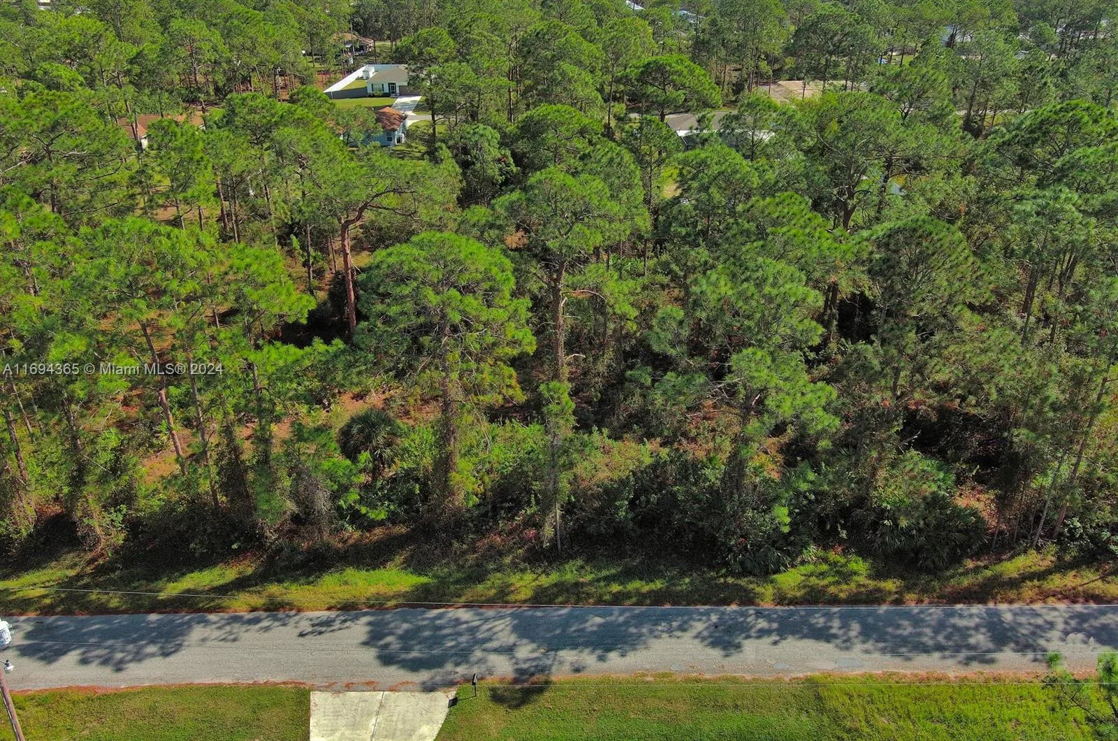 1116 8th Ave, Lehigh Acres, FL 33972 photo 4
