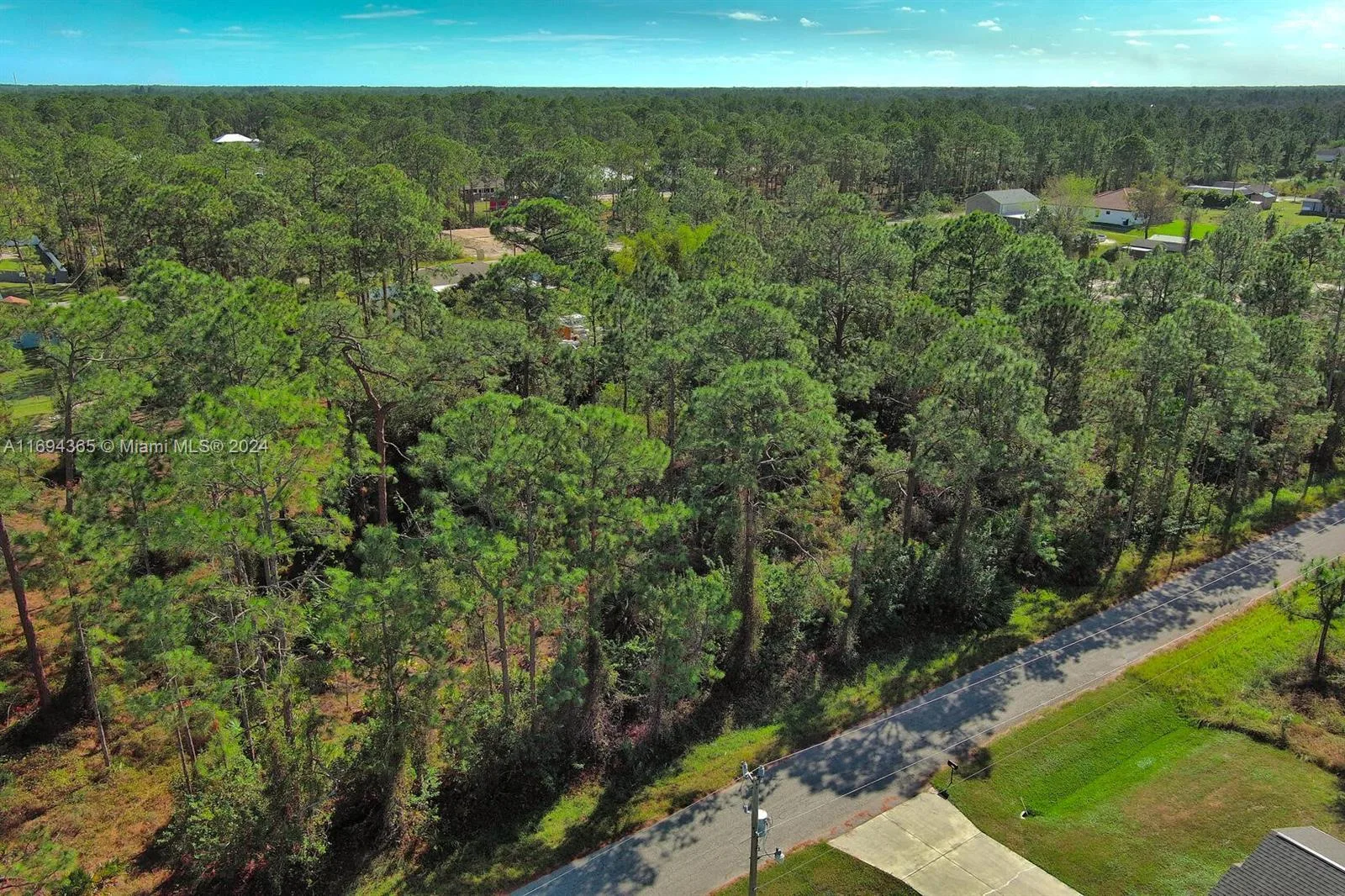 1116 8th Ave, Lehigh Acres, FL 33972 photo 5