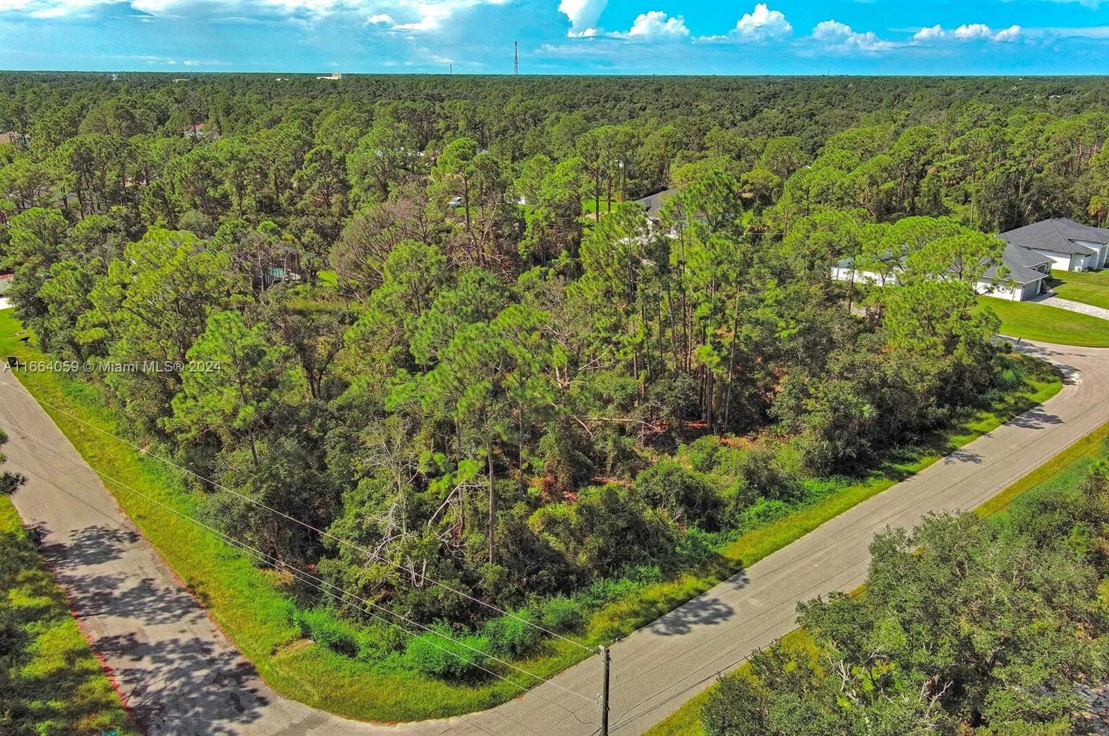 #1 Casanova Ave, North Port, FL 34291 photo 10