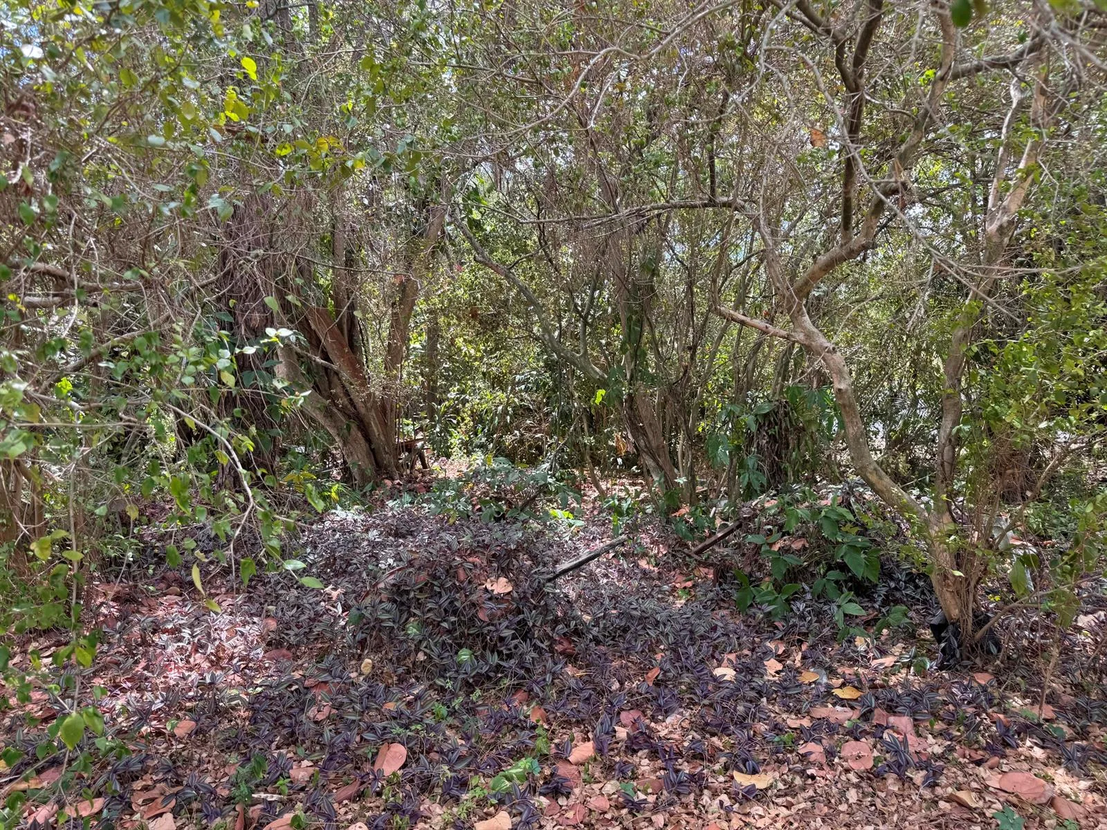 3358 S Jog Road, FL 33467 photo 2