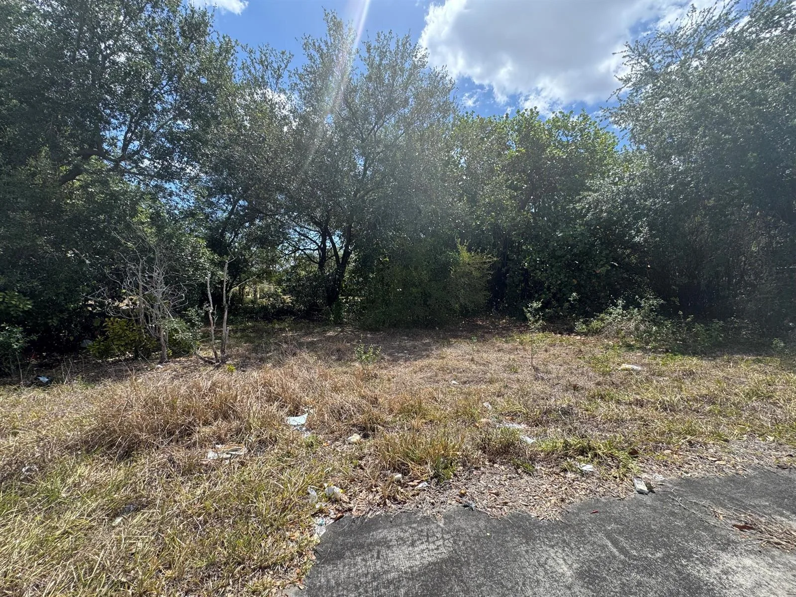 3358 S Jog Road, FL 33467 photo 4