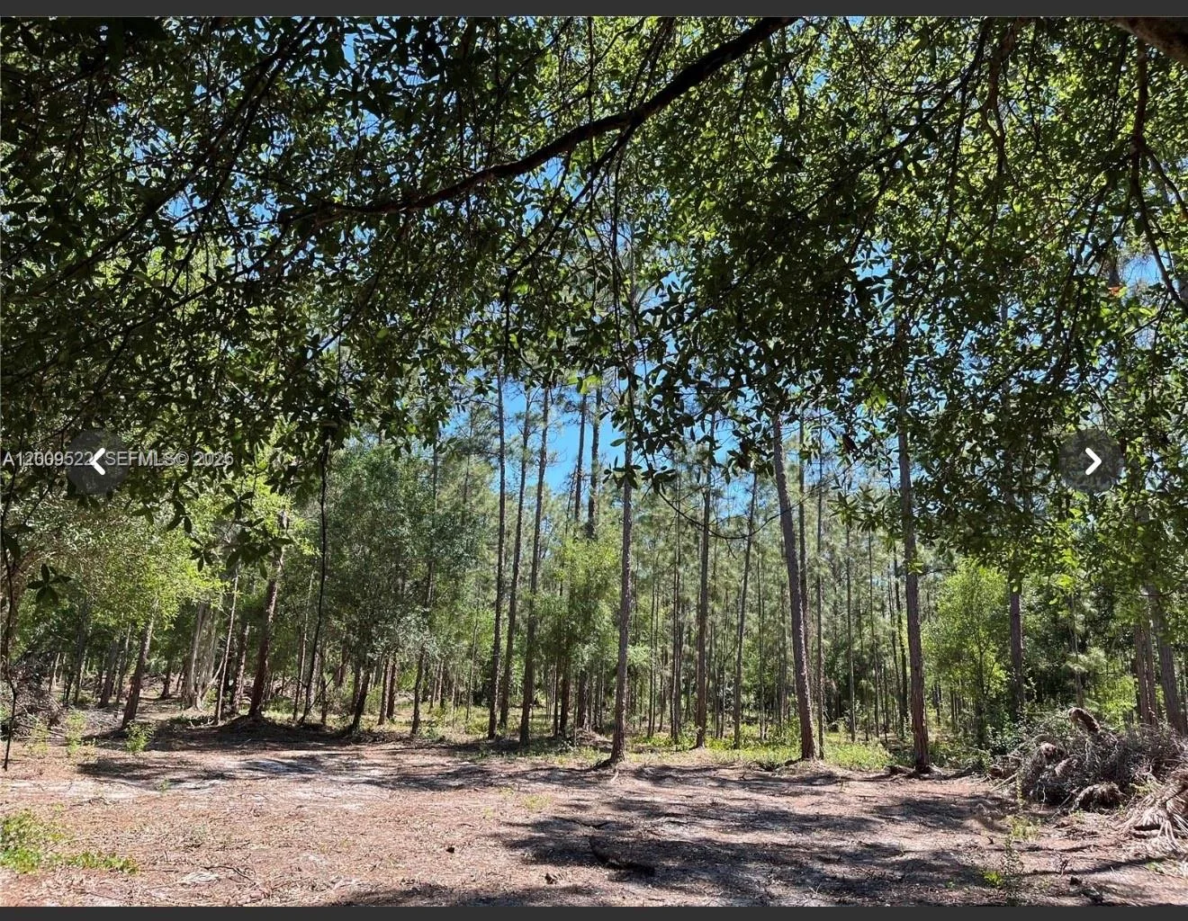 5120 18TH PIONEER, Clewiston, FL 33440 photo 2