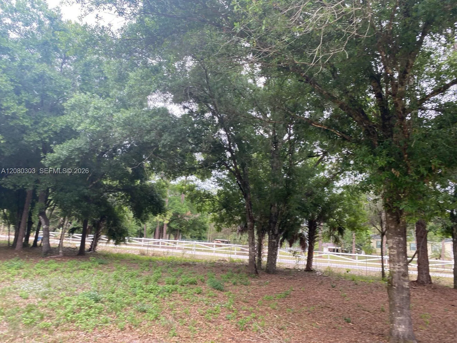 4320 Hendry Isles Blvd, Clewiston, FL 33440 photo 2