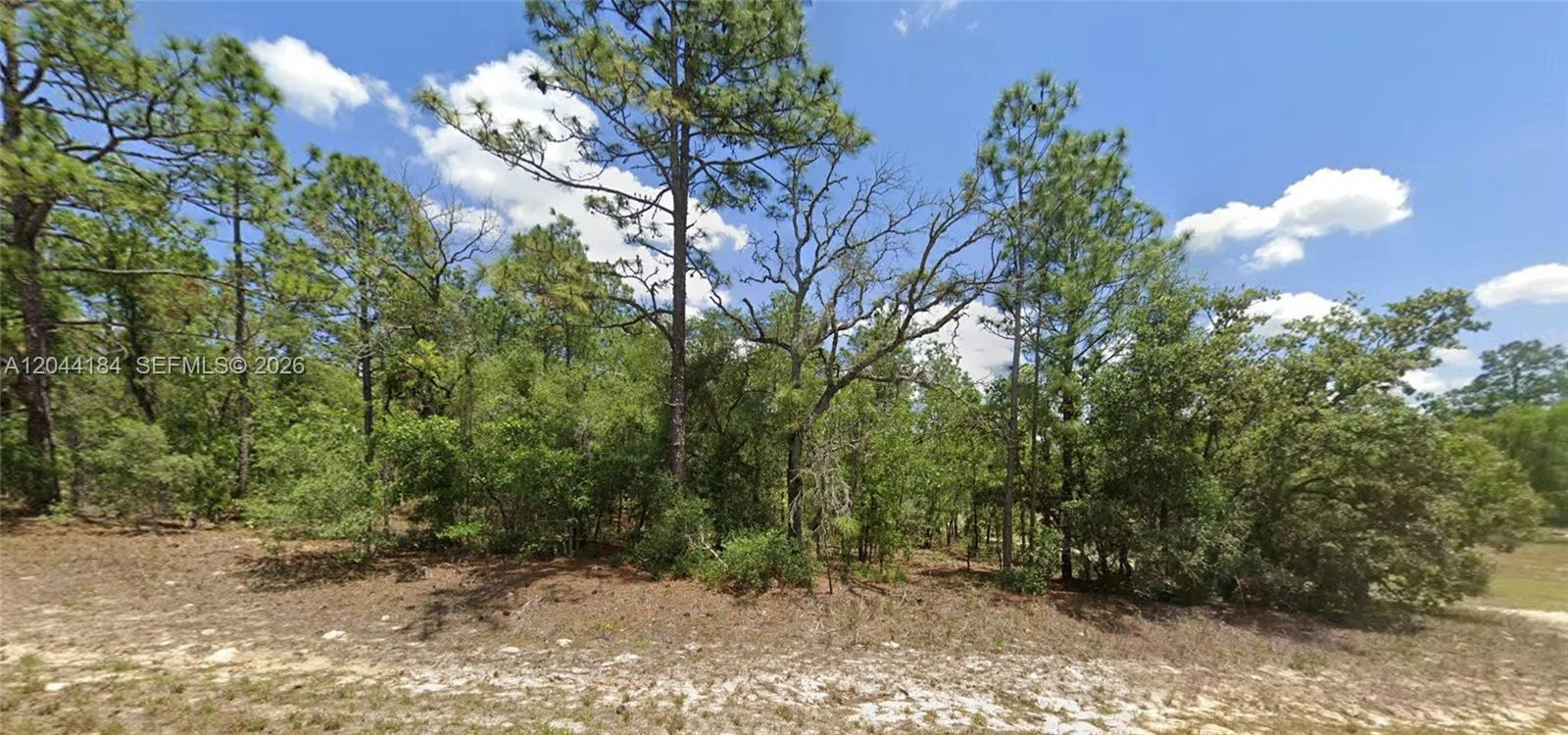 9857 N Lathyrus Ter, Citrus Springs, FL 34433