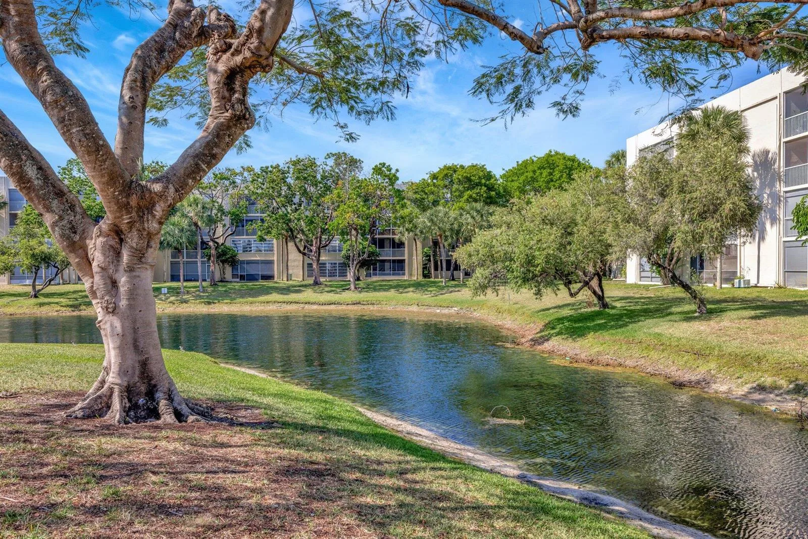 3301 NW 47th Terrace # 410, Lauderdale Lakes, FL 33319