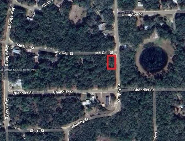 0 McCALL ST, Other City - In The State Of Florida, FL 32148
