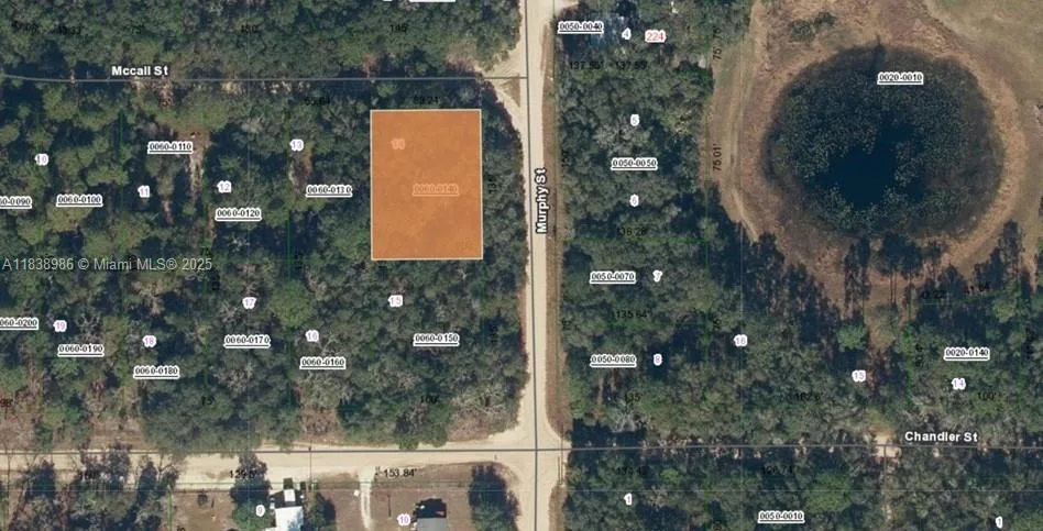 0 McCALL ST, Other City - In The State Of Florida, FL 32148 photo 2