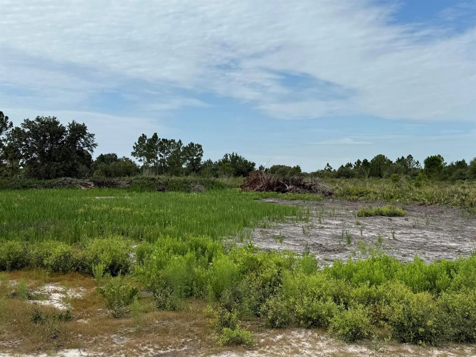 16814 NW 296th Street, Okeechobee, FL 34972 photo 5