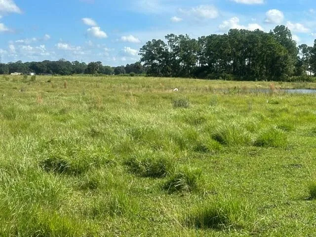 Tbd Mose Grade Road, Okeechobee, FL 34974 — zdjęcie 2