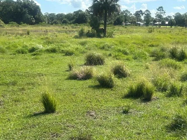 Tbd Mose Grade Road, Okeechobee, FL 34974 — zdjęcie 3