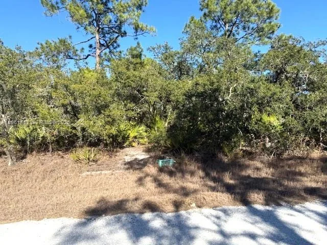 3221 N Dahlia, Lake Placid, FL 33852