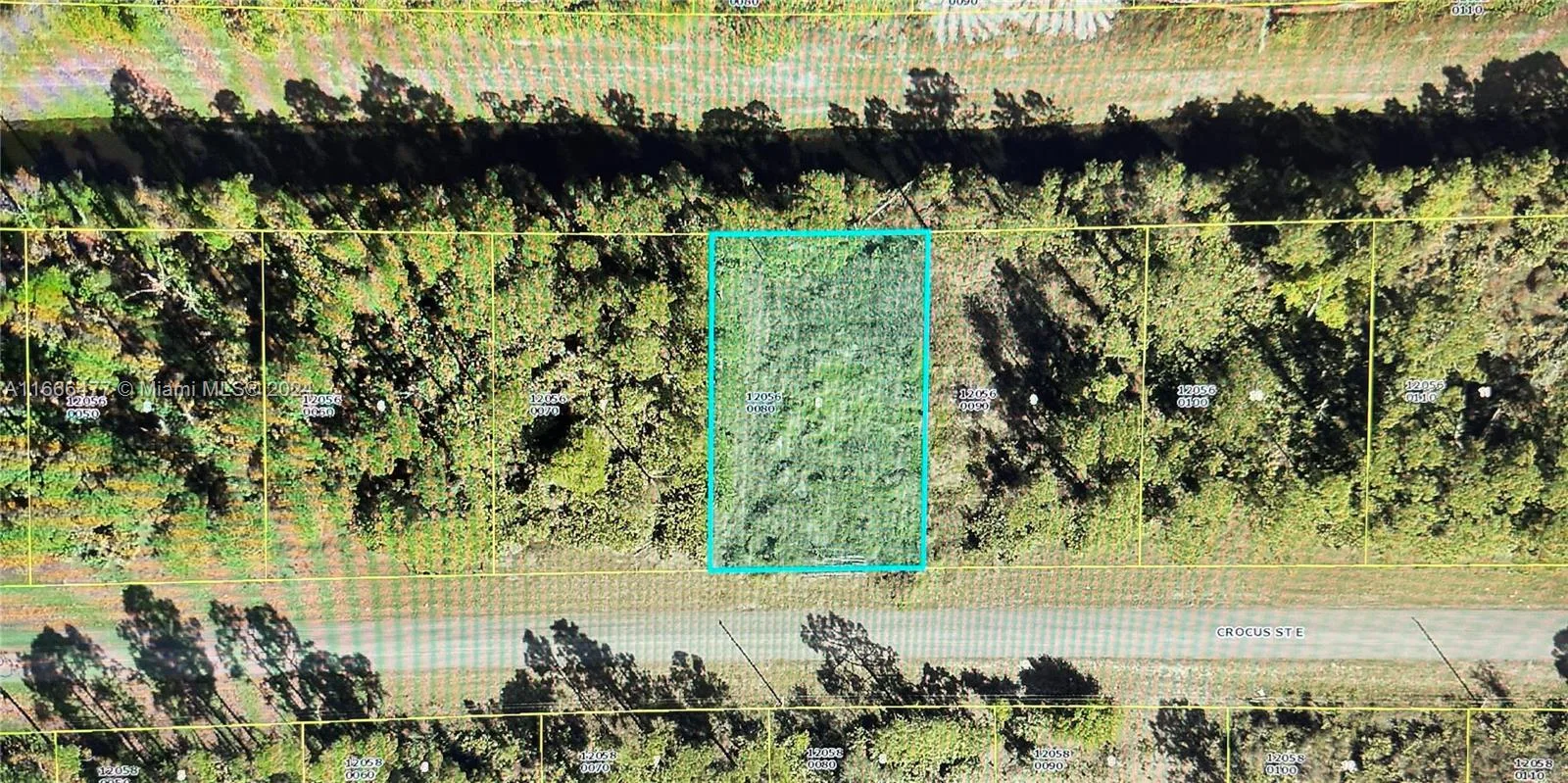 1121 CROCUS ST E, Lehigh Acres, FL 33974 photo 4