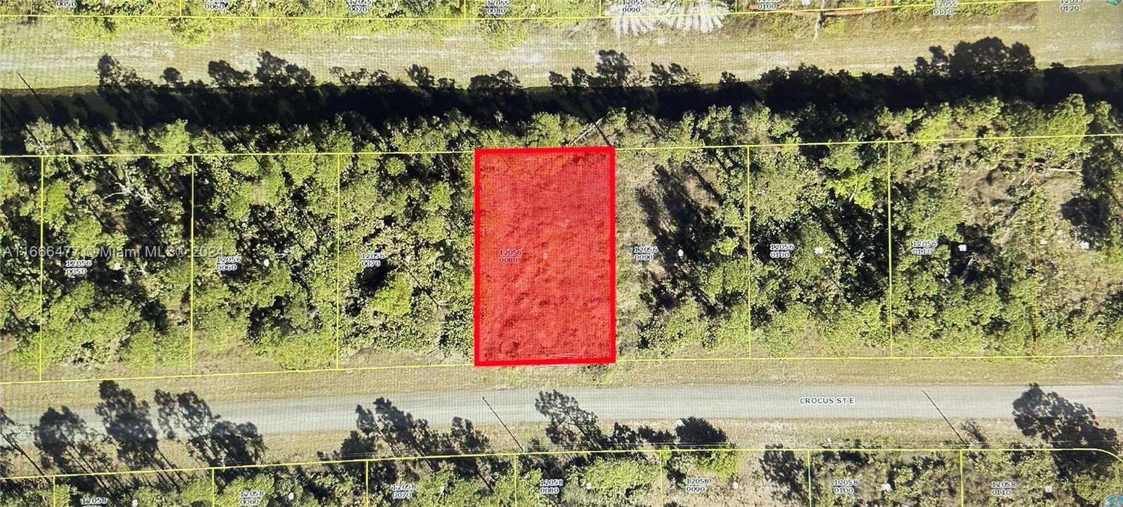 1121 CROCUS ST E, Lehigh Acres, FL 33974 photo 5