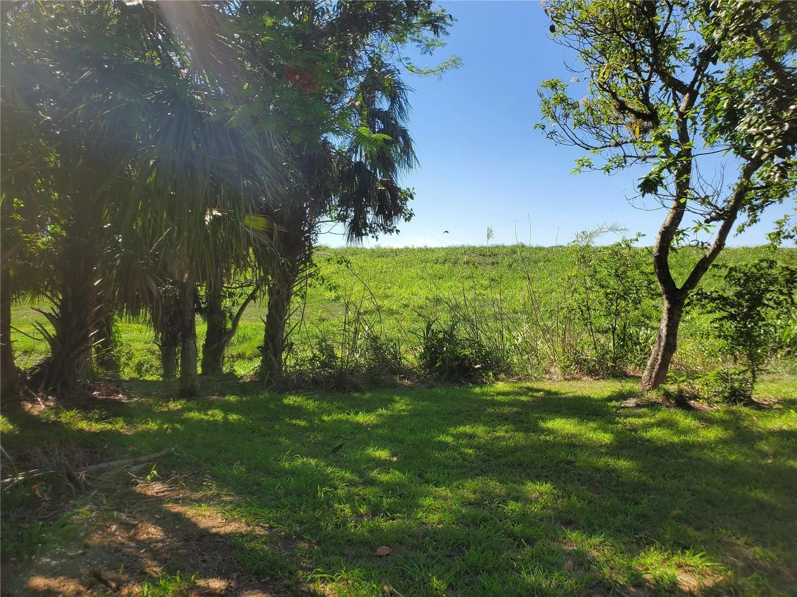 1697 E Main St, Pahokee, FL 33476 photo 2