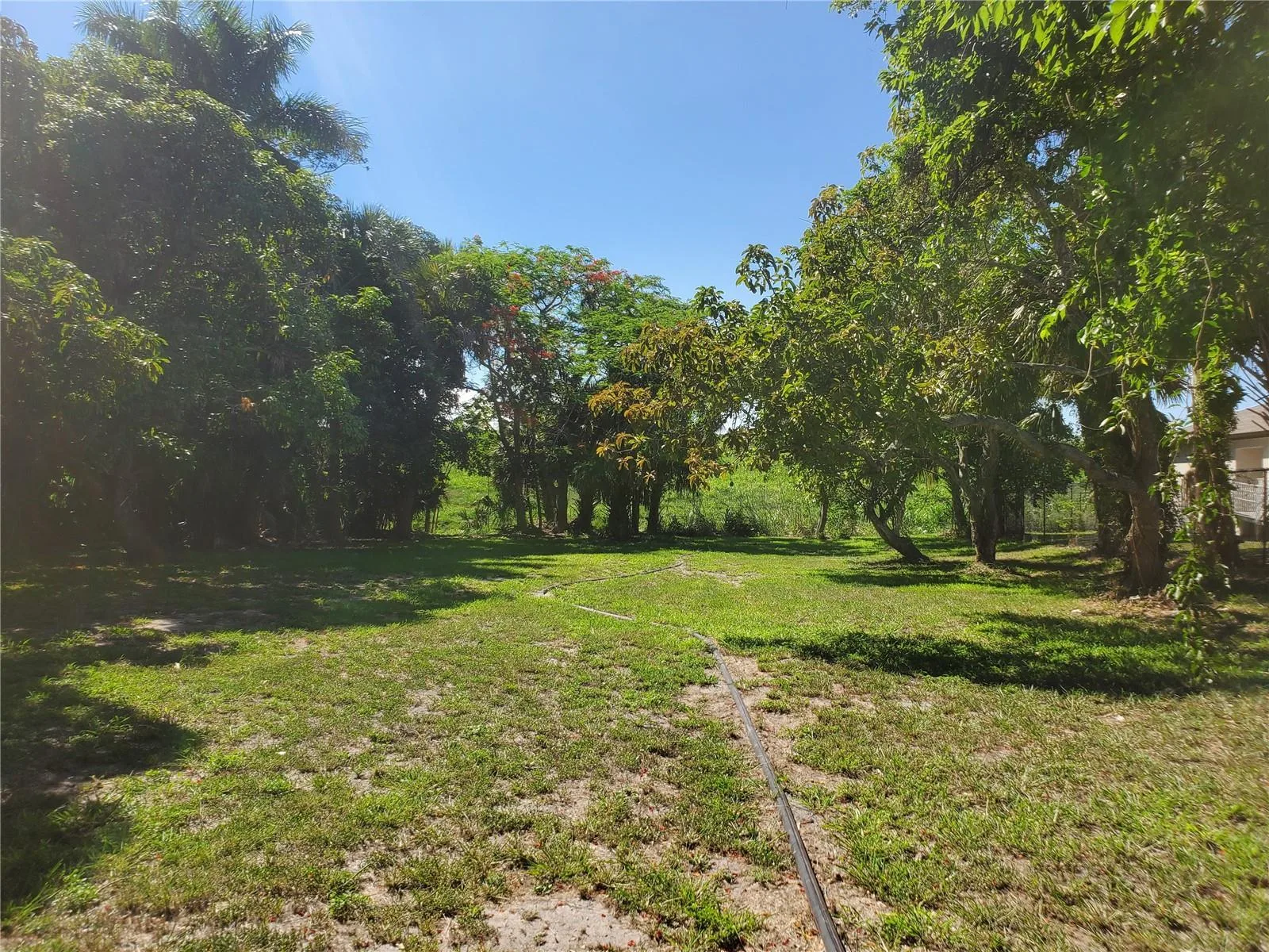 1697 E Main Street, Pahokee, FL 33476 photo 7