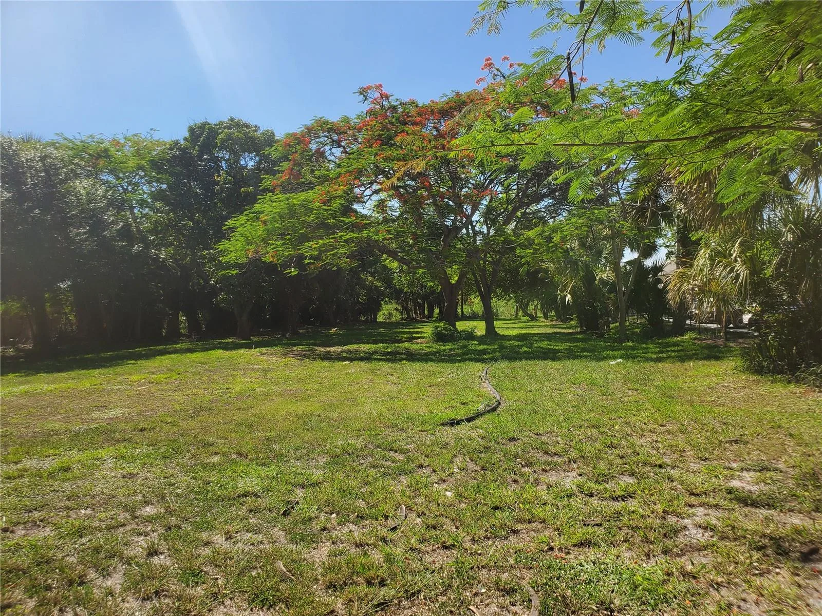 1697 E Main Street, Pahokee, FL 33476 photo 9