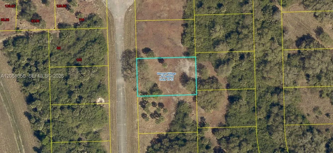 621 Trumpet Dr, La Belle, FL 33935 photo 2