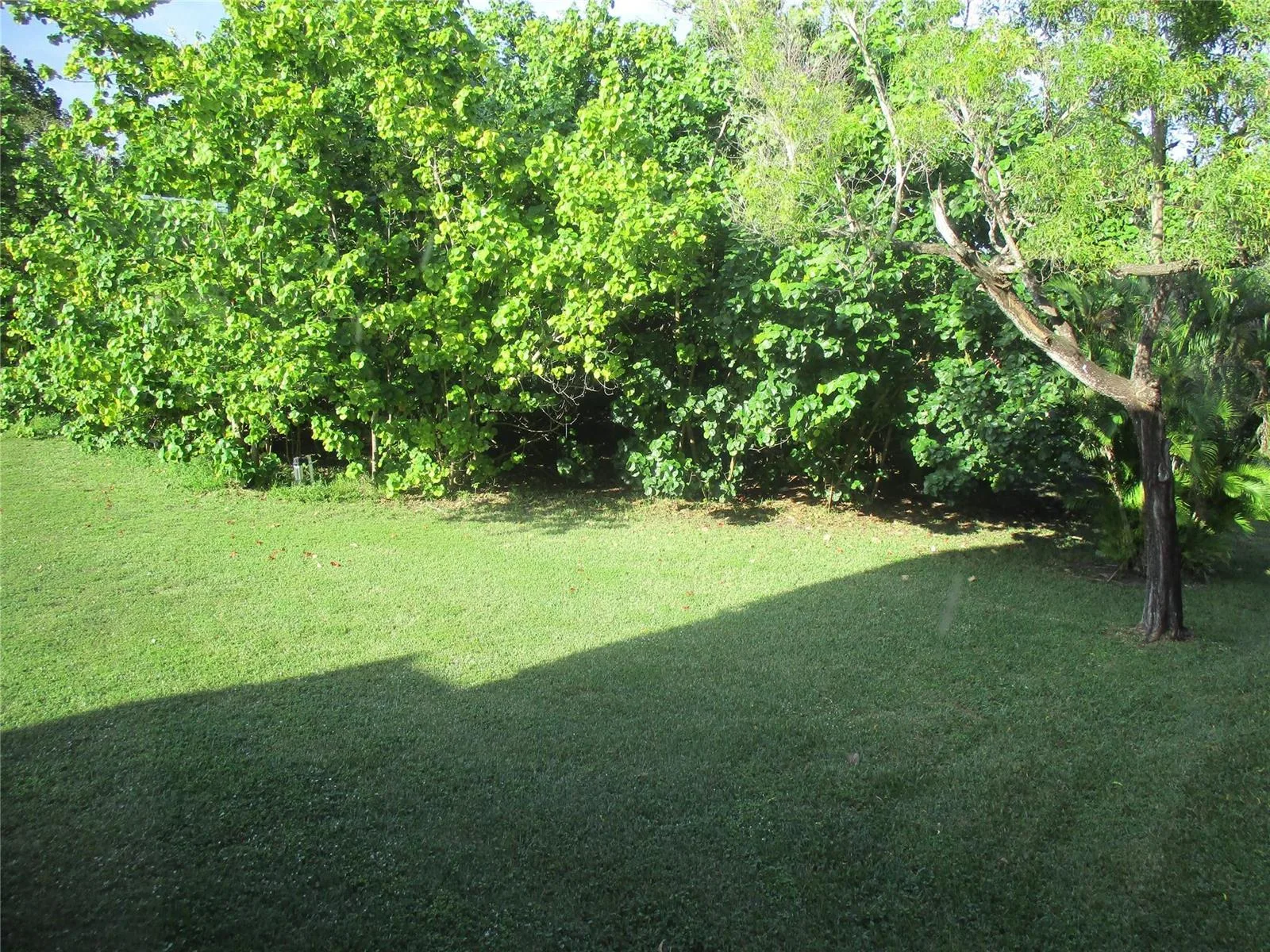 9541 Sunrise Lakes Boulevard # 210, Sunrise, FL 33322 photo 7