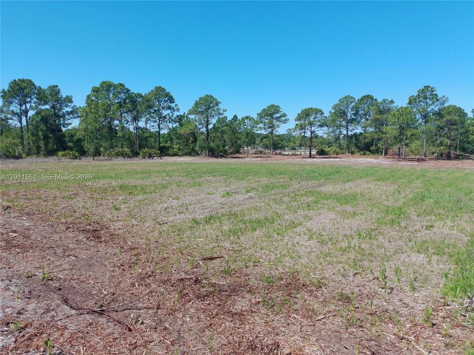 540 S Zambria ST, Clewiston, FL 33440 photo 3