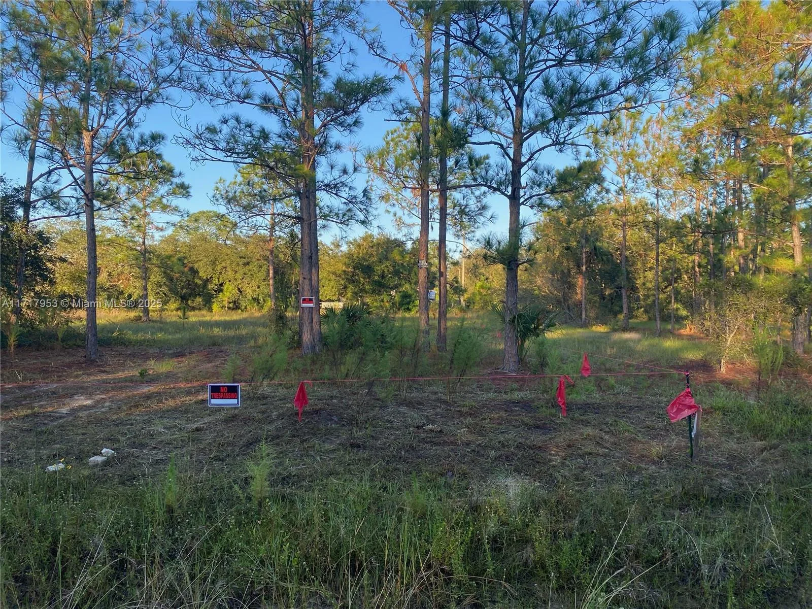 1413 Hamilton Ave, Lehigh Acres, FL 33972 photo 4