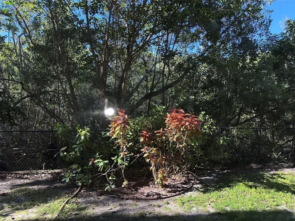 529 E Sheridan Street # 1081, Dania Beach, FL 33004