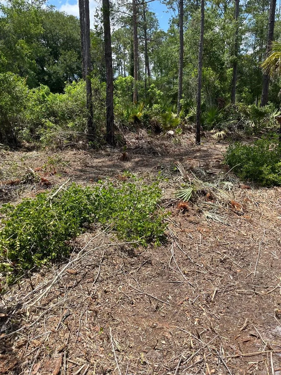 117 Lodge Pole Cir, Other City - In The State Of Florida, FL 32139 photo 3