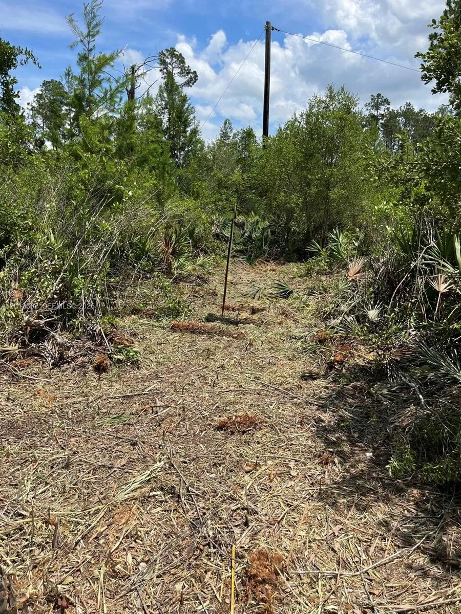 117 Lodge Pole Cir, Other City - In The State Of Florida, FL 32139 photo 4