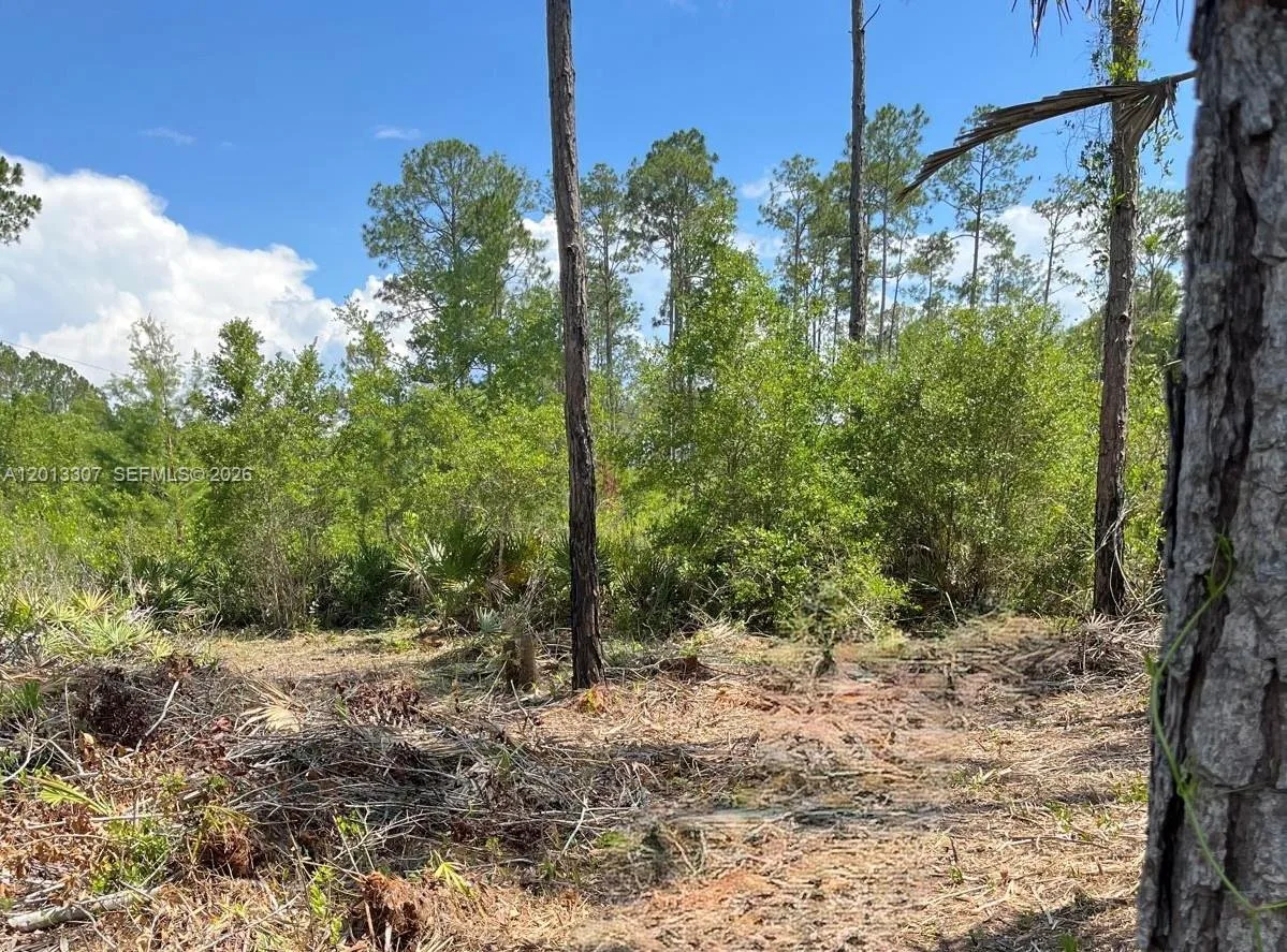 117 Lodge Pole Cir, Other City - In The State Of Florida, FL 32139 photo 5