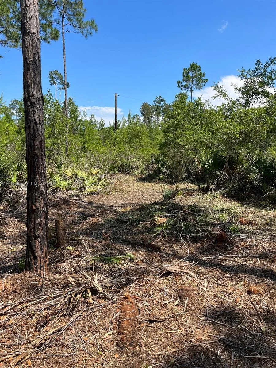 117 Lodge Pole Cir, Other City - In The State Of Florida, FL 32139 photo 6