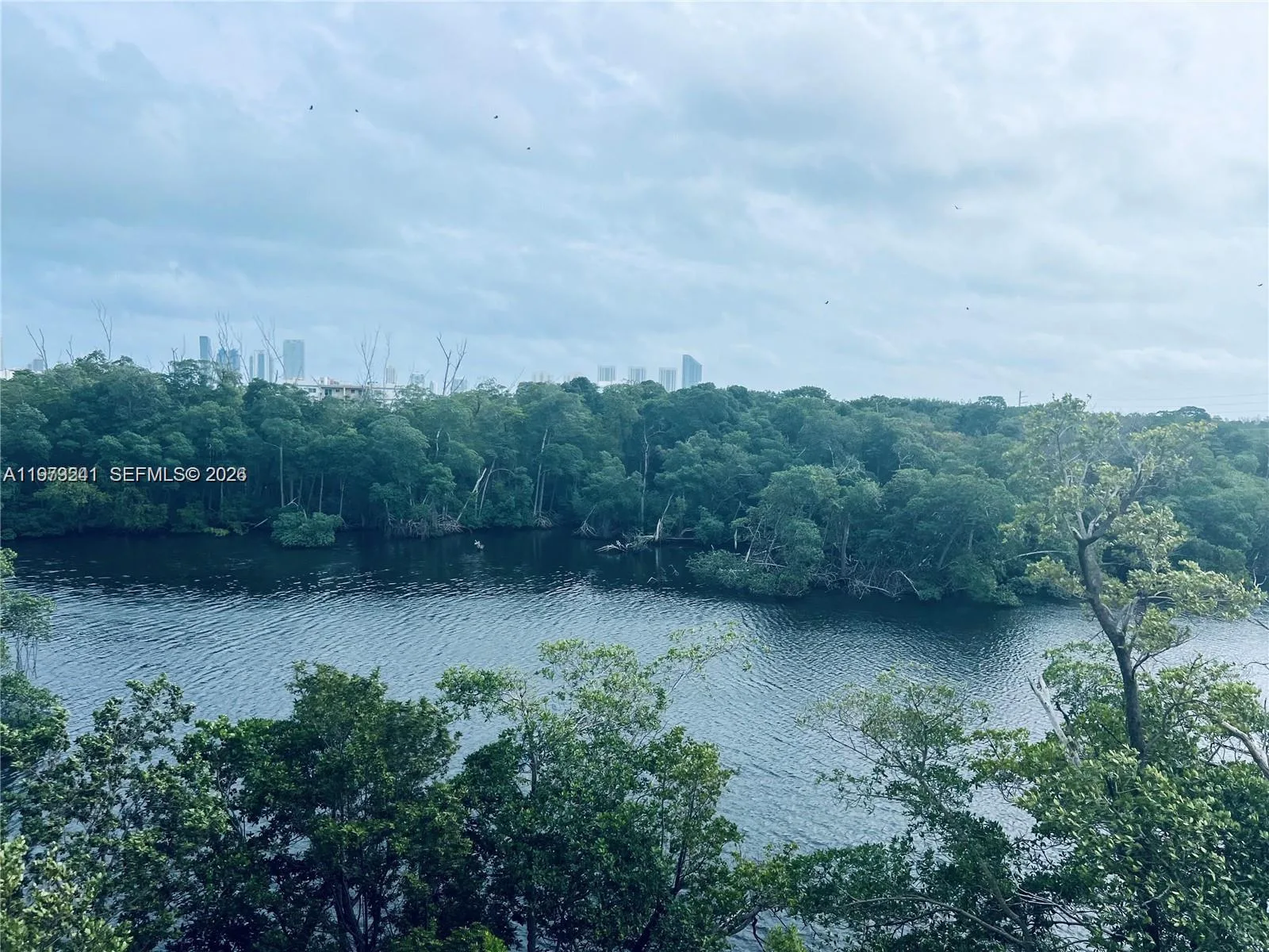 16385 Biscayne Blvd # 421, North Miami Beach, FL 33160 photo 4