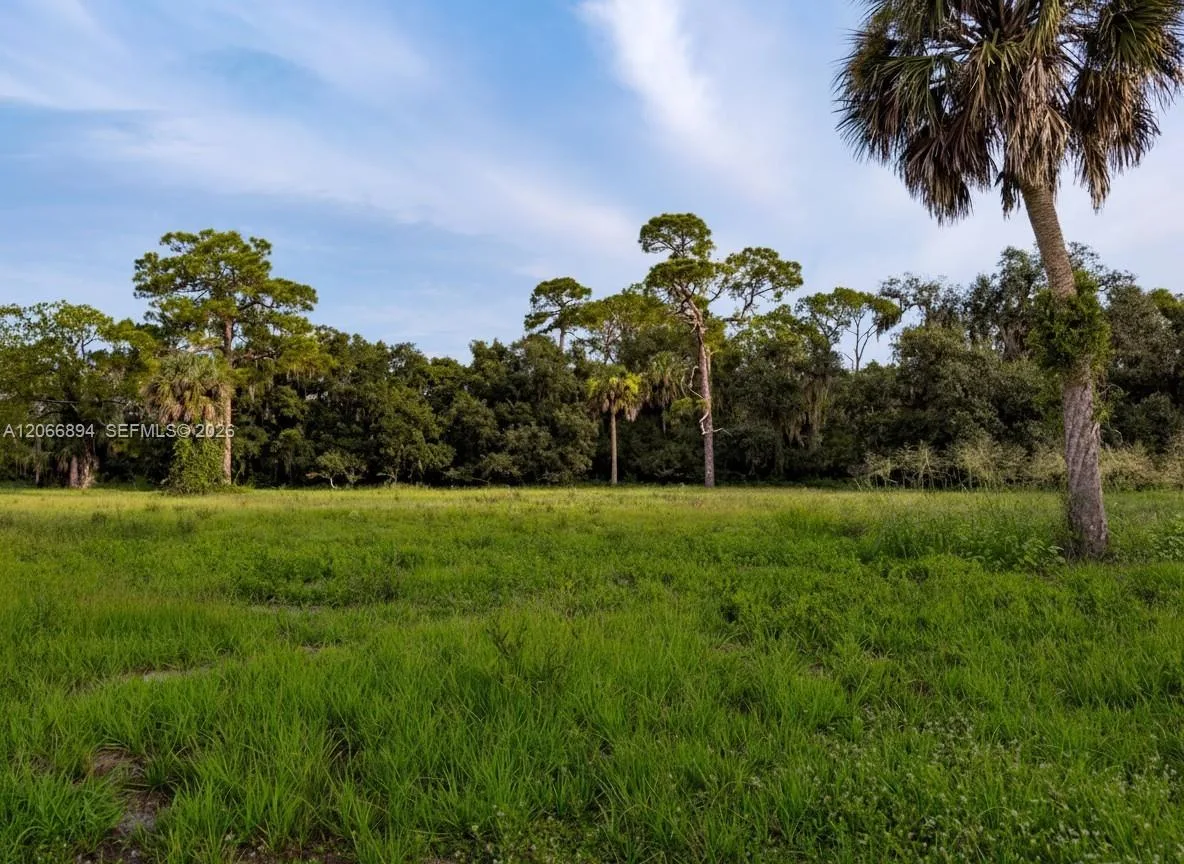 3291 Fort Denaud Rd, La Belle, FL 33935 photo 2
