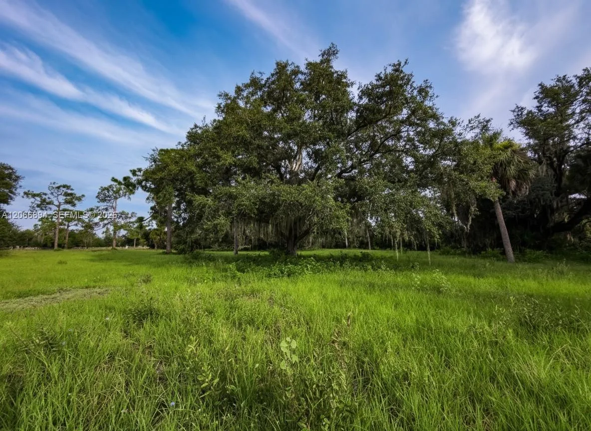 3291 Fort Denaud Rd, La Belle, FL 33935 photo 3