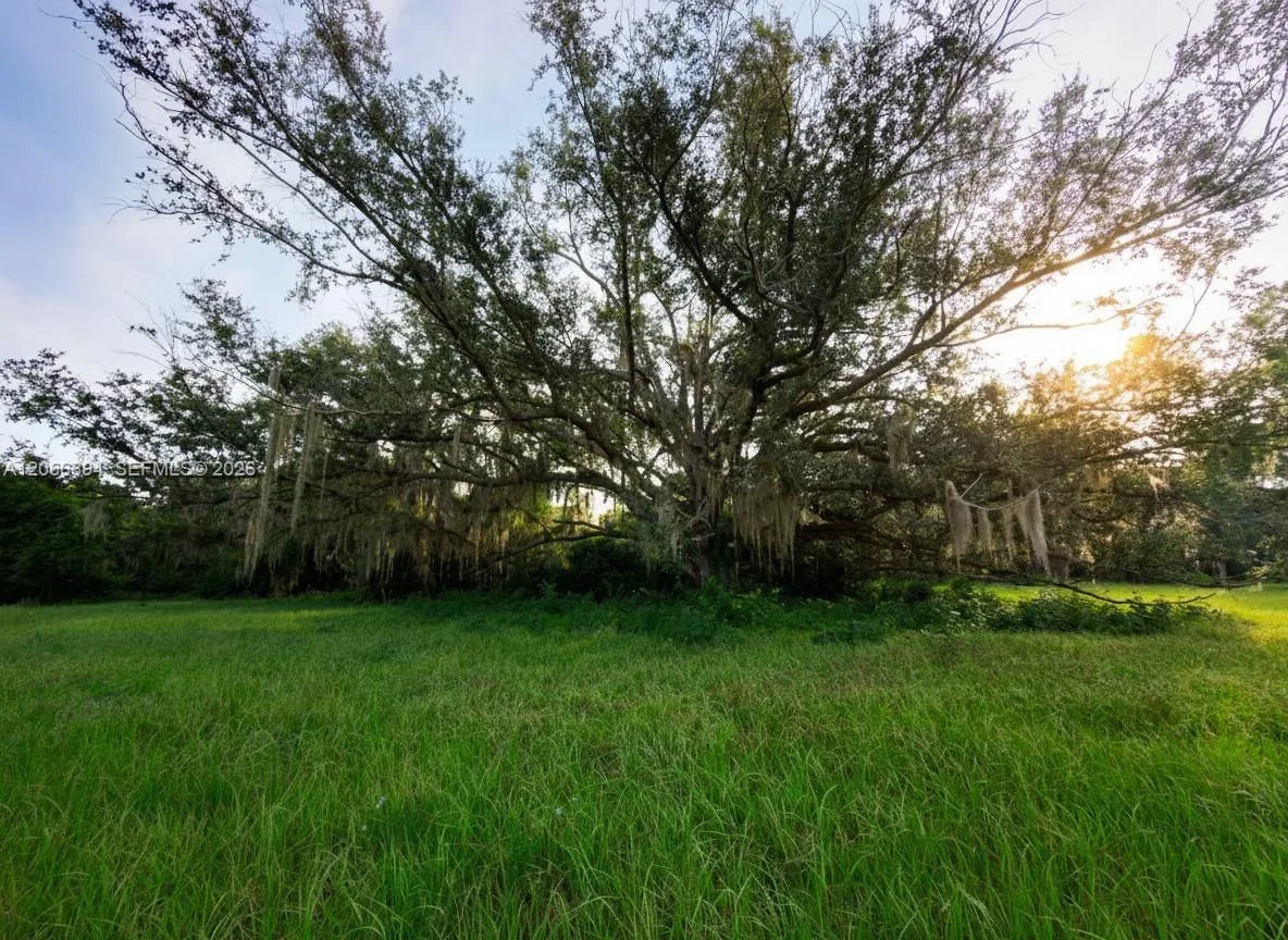 3291 Fort Denaud Rd, La Belle, FL 33935 photo 4