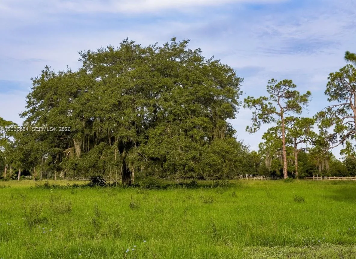 3291 Fort Denaud Rd, La Belle, FL 33935 photo 5