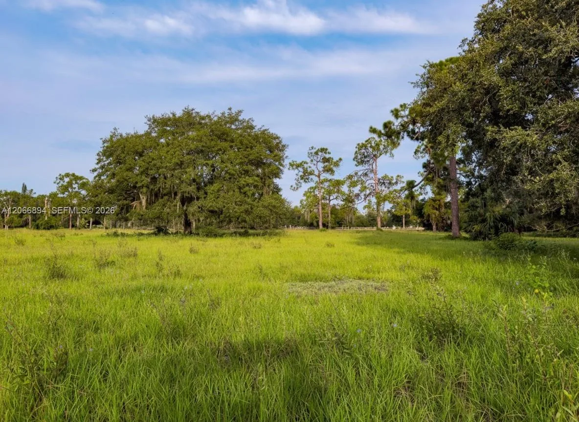 3291 Fort Denaud Rd, La Belle, FL 33935 photo 6