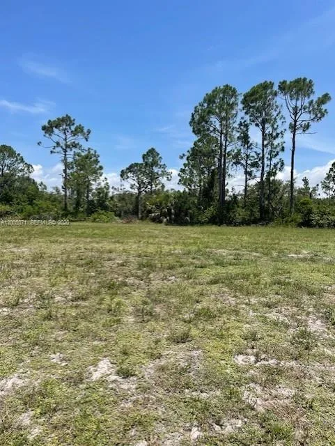 1616 NW 25 LN, Cape Coral, FL 33993 photo 2