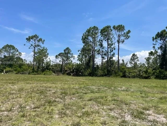 1616 NW 25 LN, Cape Coral, FL 33993 photo 3
