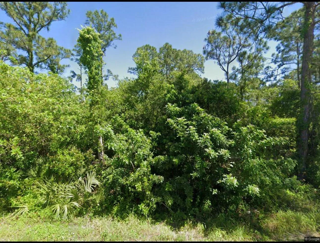 111 Suwannee Lane, Lake Placid, FL 33852