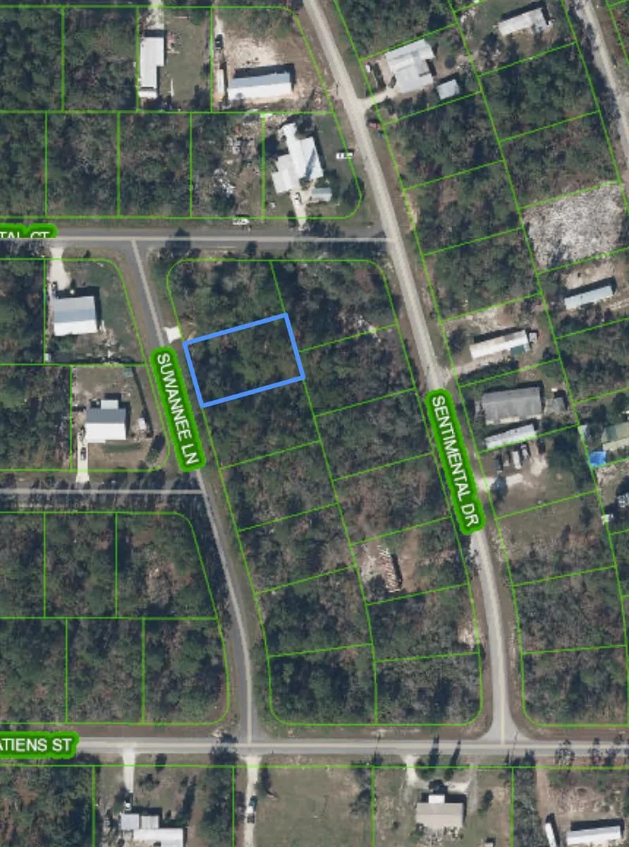 111 Suwannee Lane, Lake Placid, FL 33852 photo 2