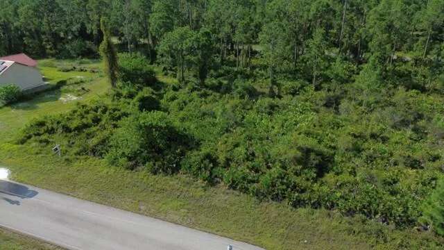 1115 Chiefland Street E, Lehigh Acres, FL 33974 photo 2