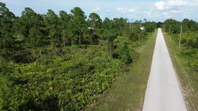 1115 Chiefland Street E, Lehigh Acres, FL 33974 photo 3